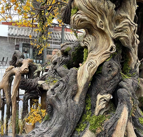 上海仿真樹設計